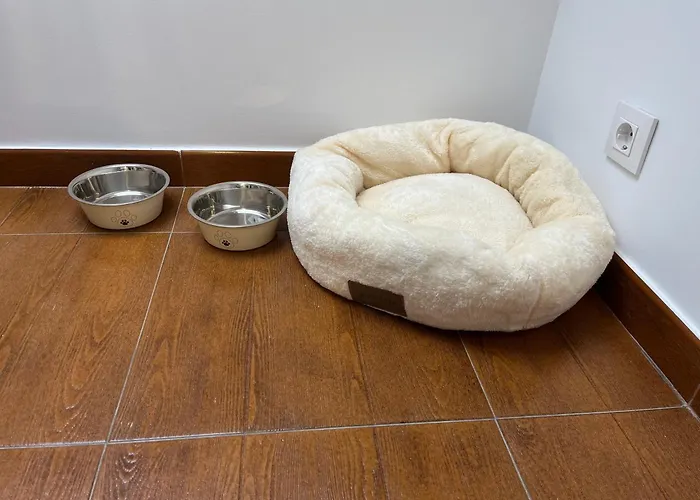 Atico Solpor Daire *